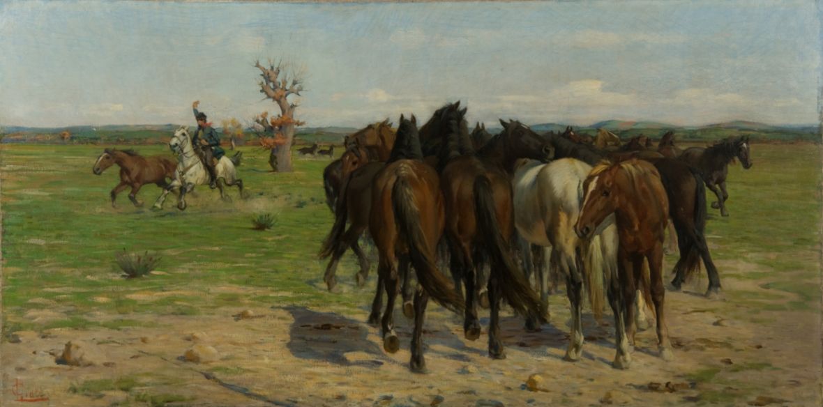 Gruppo di cavalli