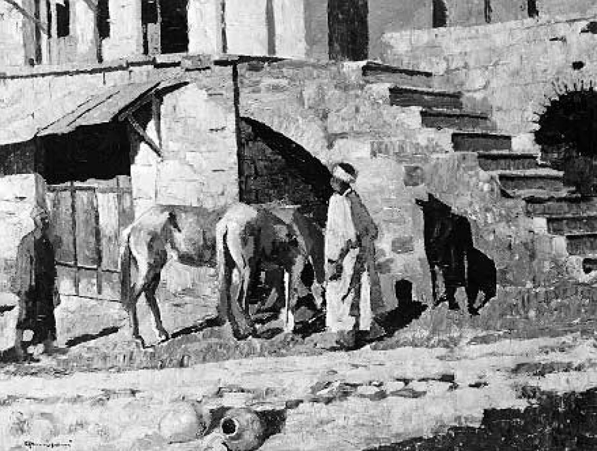 Cavalli all'abbeveratoio al Cairo